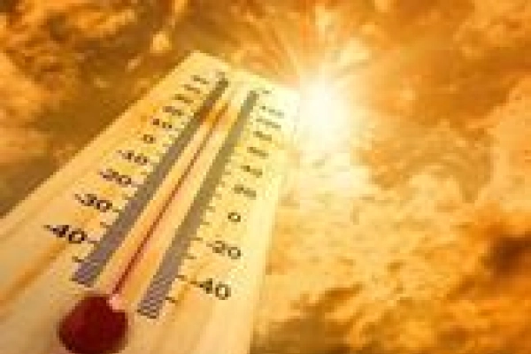 Oneida County Offers Extreme Heat Safety Tips Photo