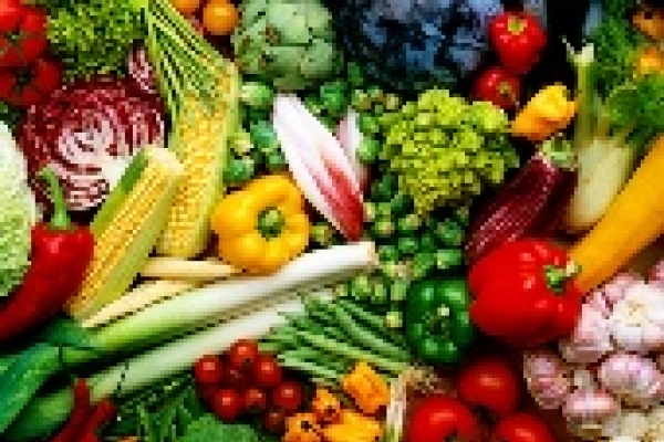 Oneida County’s Garden Harvest to Benefit Nutrition Program Photo