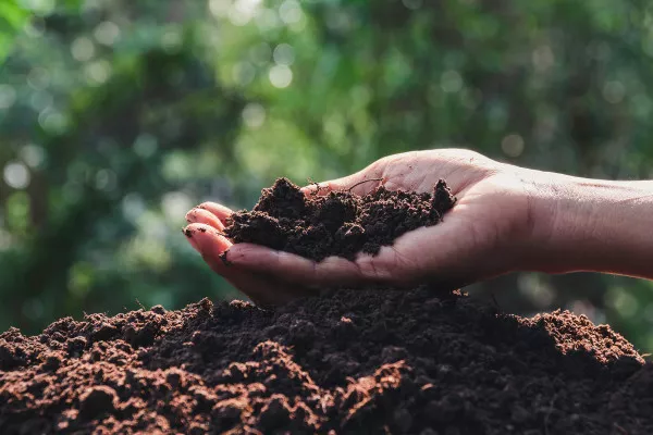 Oneida County Source Separated Organics Feasibility Study